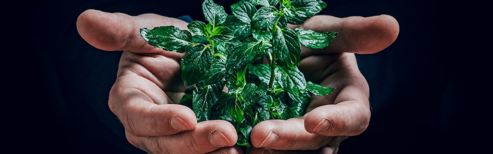 ENVIRONMENTALLY FRIENDLY EQUIPMENT